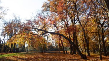 Sonbahar açık hava parkı