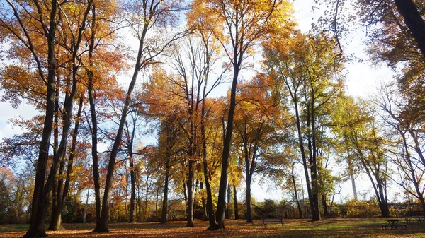 秋の屋外公園 — ストック写真