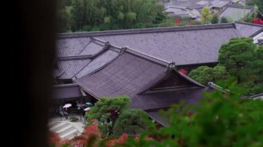 Lush Gardens ve Renkli Yapraklarla çevrili ünlü Ginkaku-ji Tapınağı. Yüksek kalite 4k görüntü