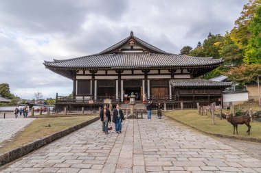 İnsanlar ve Japonya 'nın ünlü Nara şehrinde bir tapınağın önünde bir geyik. Yüksek kalite fotoğraf