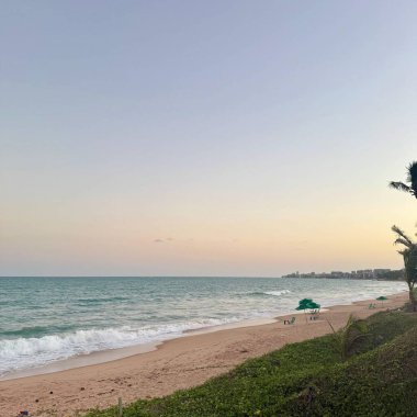 Gün batımında kumsala vuran deniz dalgaları ve bir sürü yeşil bitki. 