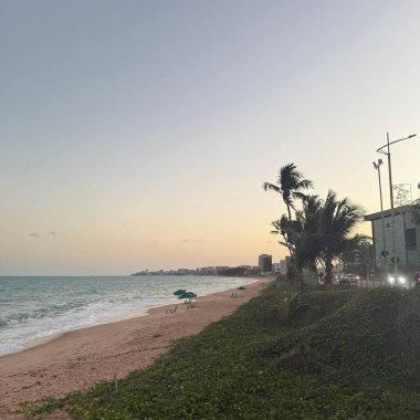 Arabalı bir sokak ve yanında dalgalı bir sahil ve palmiye ağaçlarını sallayan güçlü bir rüzgar.