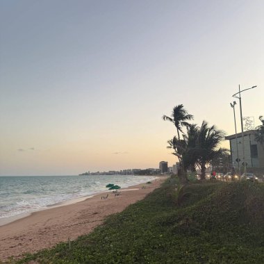 Gün batımında, dalgalı ve palmiyeli bir plajın yanından geçen arabalarla dolu bir cadde güçlü bir rüzgarla savruluyor. 