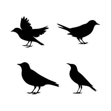 birds icon silhouette vector arts illustration clipart