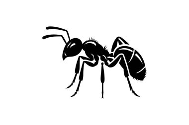 karınca vektör illüstrasyon silueti 