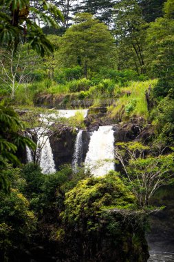 Pipi Hilo Hawaii 'ye düşer. Hilo Hawaii 'de yüksek kaliteli fotopipi düştü. 