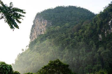 Tayland 'ın güneyindeki manzara 