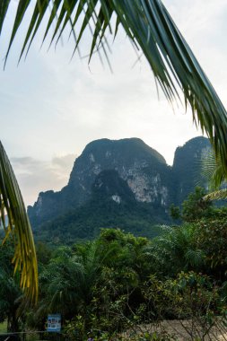 Güney Tayland 'da güzel bir manzara. Yüksek kalite fotoğraf