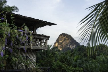 Güney Tayland 'da güzel bir manzara. Yüksek kalite fotoğraf