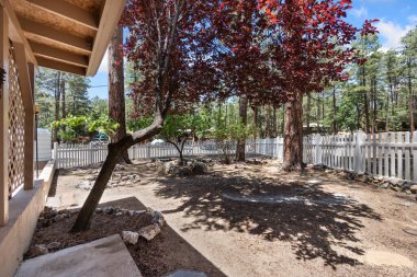 Prescott, Arizona - 12 Ağustos 2024: Ormanda bir kulübe