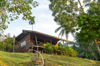 Bangkok, Tayland - 22 Aralık 2024: Bulutlu bir günde dağlarla çevrili sakin sularda botta can yeleği giyen gülümseyen genç çocuk. Yüksek kalite fotoğraf