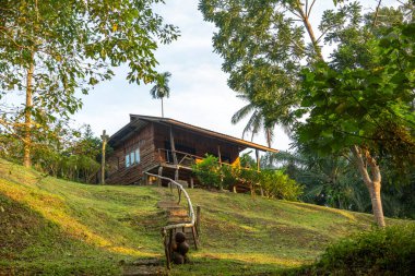 Bangkok, Tayland - 22 Aralık 2024: Bulutlu bir günde dağlarla çevrili sakin sularda botta can yeleği giyen gülümseyen genç çocuk. Yüksek kalite fotoğraf