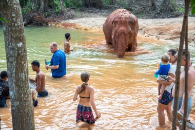 Krabi, Tayland - 24 Aralık 2024: Tayland 'da çamurda fillerle oynamak