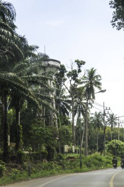 Güneşli bir günde yemyeşil palmiyelerle çevrili bir su kulesinin yanında huzurlu bir yol manzarası. Yüksek kalite fotoğraf