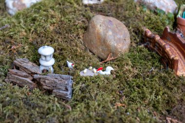 Yosun kaplı zeminde dekoratif elementlerle minyatür bahçe sahnesi. Yüksek kalite fotoğraf