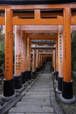 Kyoto, Japonya - 27 Aralık 2024: Japonya 'daki Fushimi Inari tapınak kemerleri. Yüksek kalite fotoğraf