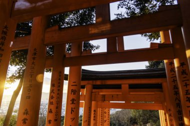 Kyoto, Japonya - 27 Aralık 2024: Japonya 'daki Fushimi Inari tapınak kemerleri. Yüksek kalite fotoğraf