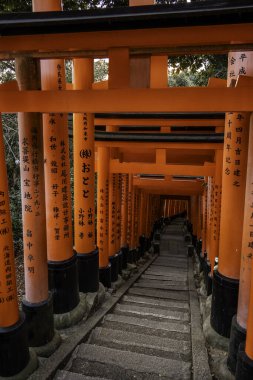 Kyoto, Japonya - 27 Aralık 2024: Japonya 'daki Fushimi Inari tapınak kemerleri. Yüksek kalite fotoğraf