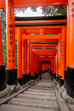Kyoto, Japonya - 27 Aralık 2024: Japonya 'daki Fushimi Inari tapınak kemerleri. Yüksek kalite fotoğraf