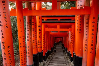 Kyoto, Japonya - 27 Aralık 2024: Japonya 'daki Fushimi Inari tapınak kemerleri. Yüksek kalite fotoğraf