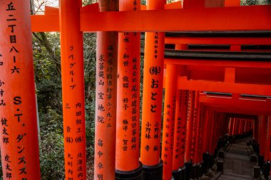 Kyoto, Japonya - 27 Aralık 2024: Japonya 'daki Fushimi Inari tapınak kemerleri. Yüksek kalite fotoğraf