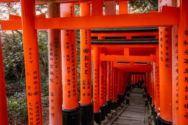 Kyoto, Japonya - 27 Aralık 2024: Japonya 'daki Fushimi Inari tapınak kemerleri. Yüksek kalite fotoğraf