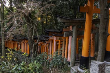 Kyoto, Japonya - 27 Aralık 2024: Japonya 'daki Fushimi Inari tapınak kemerleri. Yüksek kalite fotoğraf