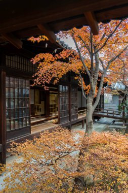 a zen garden in the fall . High quality photo clipart