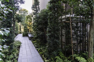 5 Ocak 2025 'te Tokyo, Japonya' daki lds tapınağında. Yüksek kalite fotoğraf