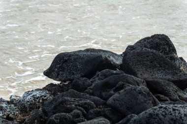 Uçsuz bucaksız bir su kütlesinin kıyısında, akışkan denizle çarpıcı bir kontrast oluşturan önemli miktarda siyah kaya yığını var.