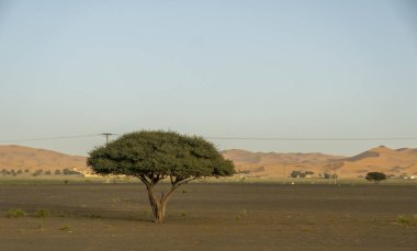 Fas kırsalında bir çöl manzarası. Yüksek kalite fotoğraf
