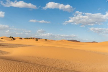 Fas 'taki Sahra Çölü. Yüksek kalite fotoğraf
