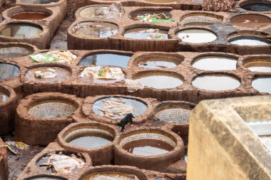 Fes, Fas 'taki deri tabakhanesi. Yüksek kalite fotoğraf