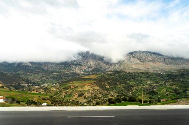 Fas 'ta yemyeşil bir arazide araba sürüyorum. Yüksek kalite fotoğraf