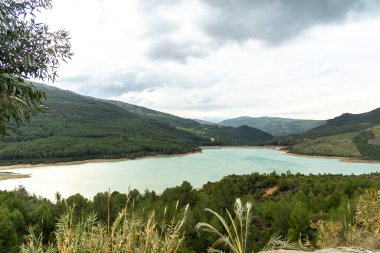 Fas 'ta yemyeşil bir arazide araba sürüyorum. Yüksek kalite fotoğraf