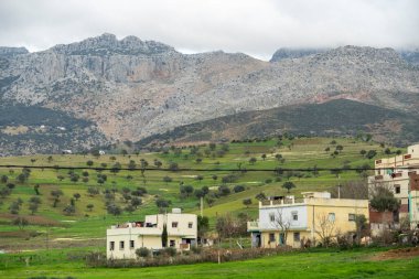 Fas 'ta yemyeşil bir arazide araba sürüyorum. Yüksek kalite fotoğraf