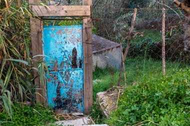 Mavi şefimiz Chefchaouen 'de yürüyoruz. Yüksek kalite fotoğraf