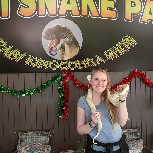 Bangkok, Tayland - 25 Aralık 2024: Ziyaretçiler öğleden sonra Tayland 'da bir hayvan barınağında yılanlarla etkileşime giriyorlar. Yüksek kalite fotoğraf