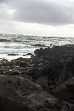 Poiupu sahilinin kayalık kıyısı. Yüksek kalite fotoğraf