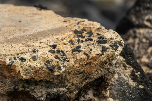 Poiupu sahilinin kayalık kıyısı. Yüksek kalite fotoğraf