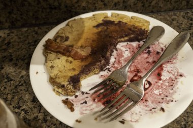 Kötü bir yemek yüzünden mahvolmuş bir yemek. Yüksek kalite fotoğraf