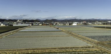 Japon kırsal kesiminde kırsal alan. Yüksek kalite fotoğraf