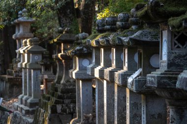 Kyoto, Japonya - 27 Aralık 2024: Sessiz fenerler alacakaranlıkta Kyoto 'daki antik yolu gözlüyor, barışı davet ediyor. Yüksek kalite fotoğraf