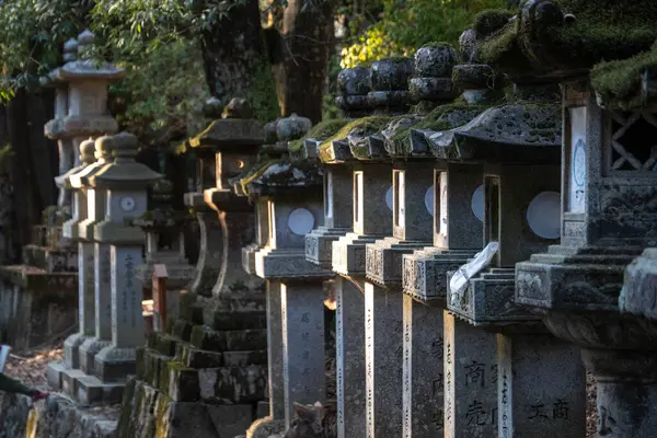 Kyoto, Japonya - 27 Aralık 2024: Sessiz fenerler alacakaranlıkta Kyoto 'daki antik yolu gözlüyor, barışı davet ediyor. Yüksek kalite fotoğraf