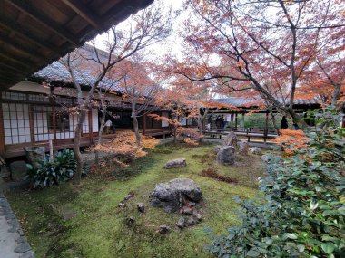 Sonbaharda bir zen bahçesi. Yüksek kalite fotoğraf