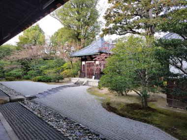 Sonbaharda bir zen bahçesi. Yüksek kalite fotoğraf