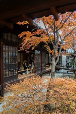 Kyoto, Japonya - 27 Aralık 2024: Sonbaharda bir zen bahçesi. Yüksek kalite fotoğraf