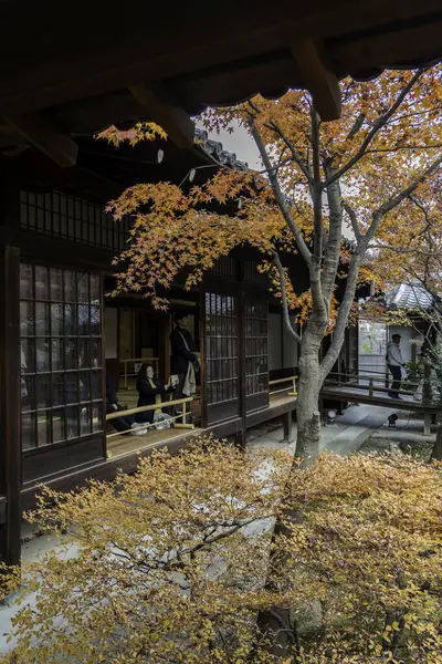 Kyoto, Japonya - 27 Aralık 2024: Sonbaharda bir zen bahçesi. Yüksek kalite fotoğraf