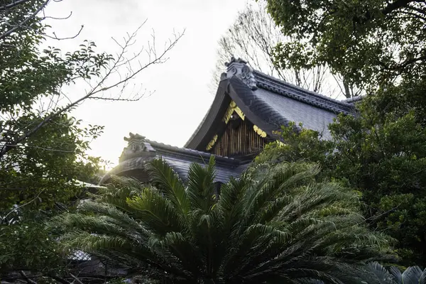 Güneş ışığı ağaçların arasından Gion 'daki geleneksel bir Japon binasına süzülür ve dingin bir atmosfer yaratır. Yüksek kalite fotoğraf