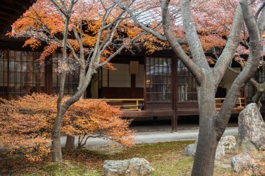 Sonbaharda bir zen bahçesi. Yüksek kalite fotoğraf